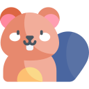 Image lesson