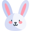 Image lesson